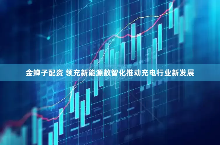 金蝉子配资 领充新能源数智化推动充电行业新发展