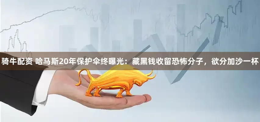 骑牛配资 哈马斯20年保护伞终曝光：藏黑钱收留恐怖分子，欲分加沙一杯